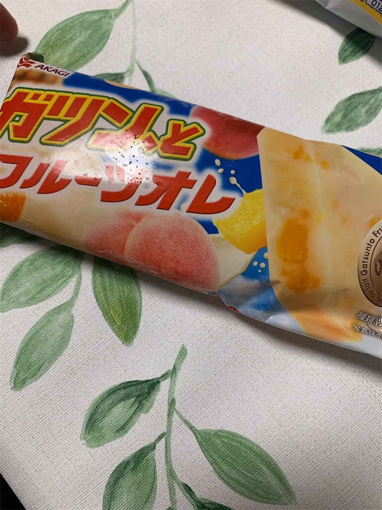 f:id:kingk-sr01:20240616134052j:image