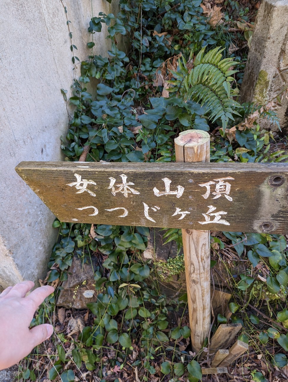 f:id:kingknight:20230108081837j:image f:id:kingknight:20230108081837j:image
