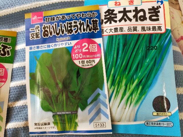 f:id:kingyo9:20240907142423j:image