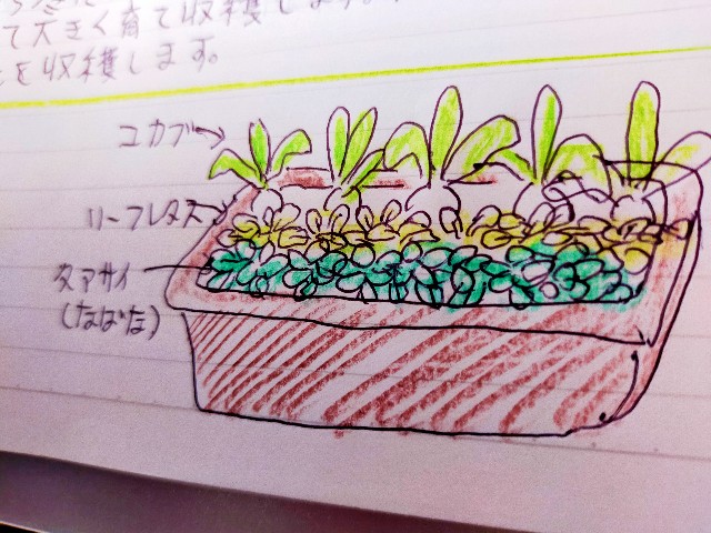 f:id:kingyo9:20240907144412j:image