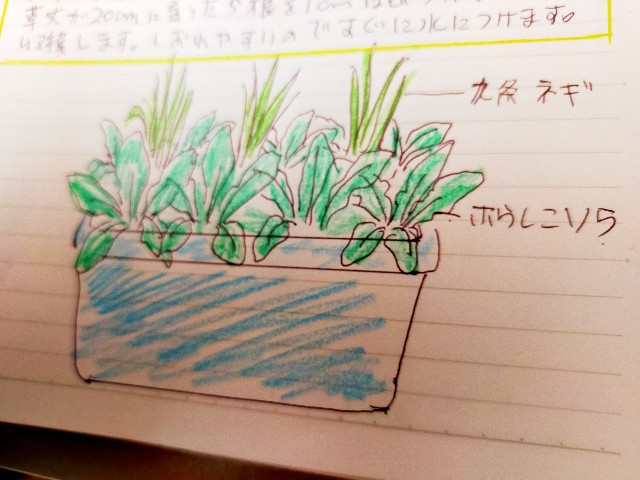 f:id:kingyo9:20240907144449j:image