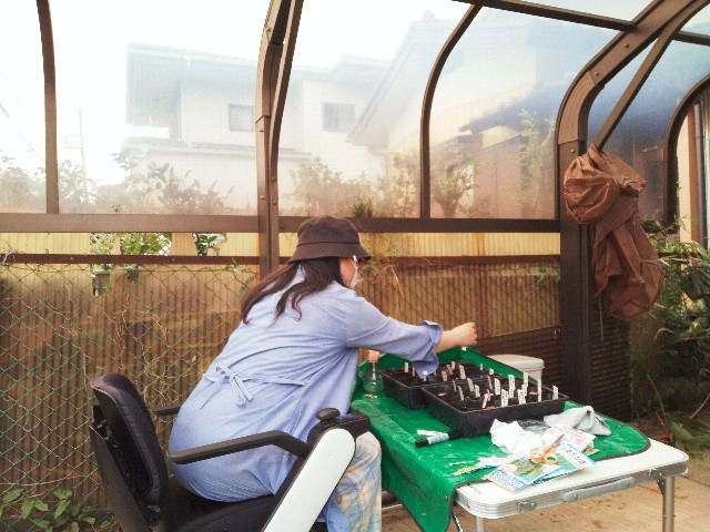 f:id:kingyo9:20240927114911j:image