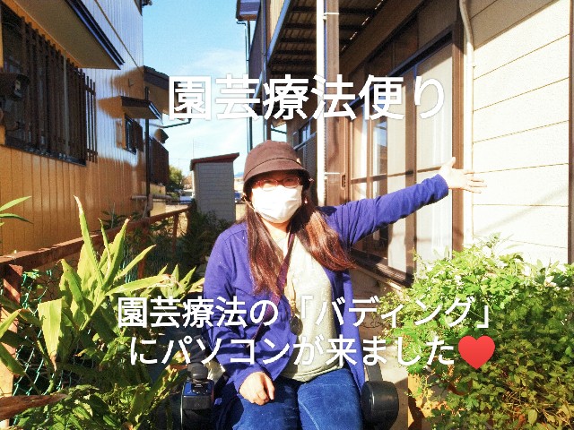 f:id:kingyo9:20241011105135j:image f:id:kingyo9:20241011105135j:image