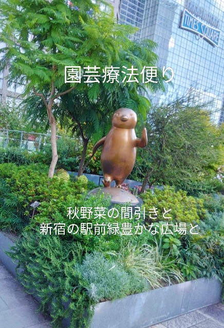 f:id:kingyo9:20241014132912j:image