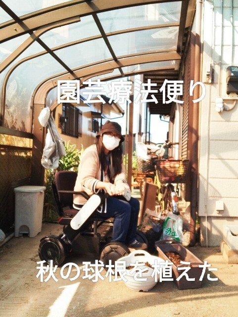f:id:kingyo9:20241016215434j:image