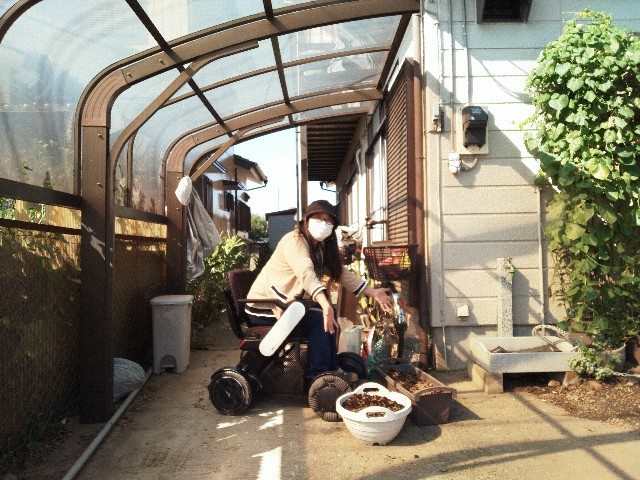 f:id:kingyo9:20241016225915j:image