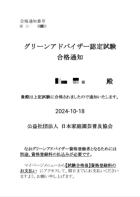 f:id:kingyo9:20241019161127j:image