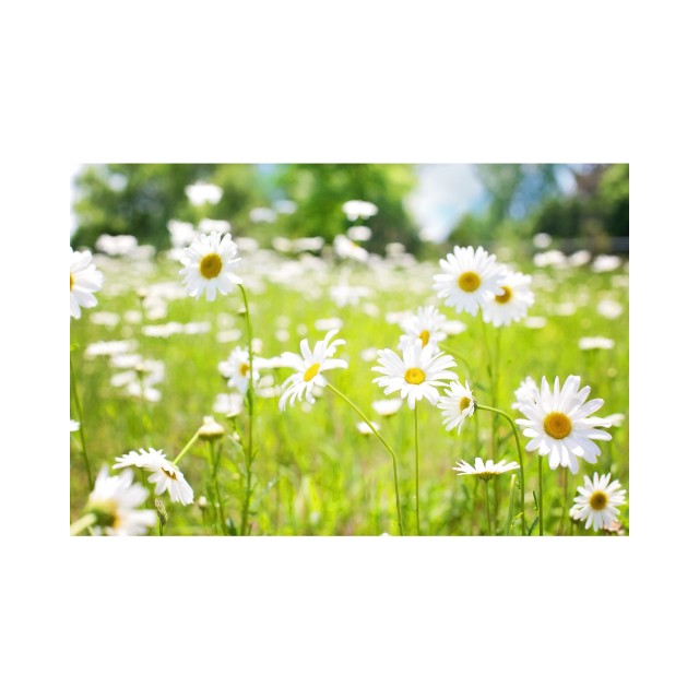 f:id:kingyo9:20241025152227j:image