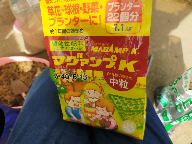 f:id:kingyo9:20241028102113j:image f:id:kingyo9:20241028102113j:image