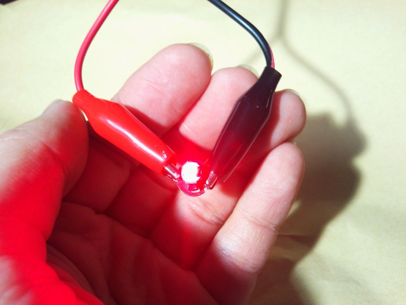 f:id:kingyo_escape:20260228220858j:image