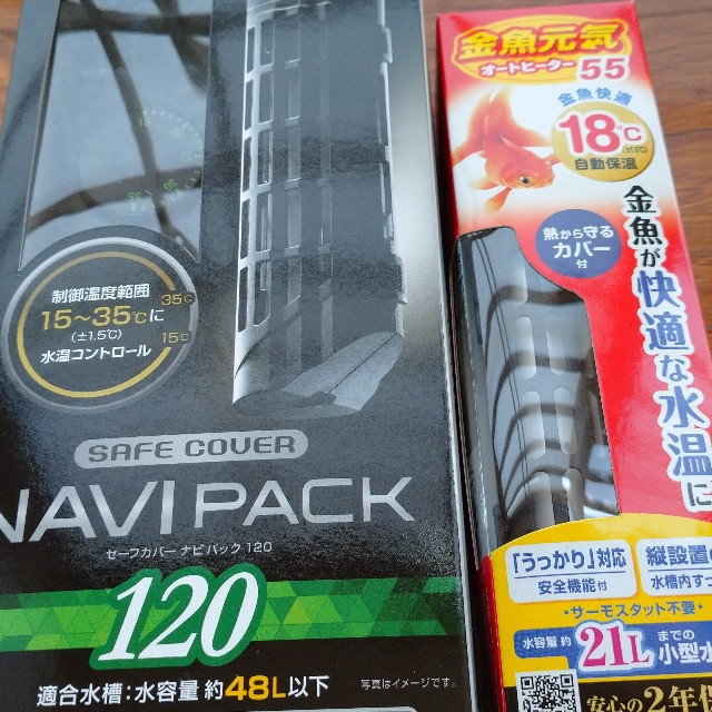 f:id:kingyoikusei:20210125115257j:image