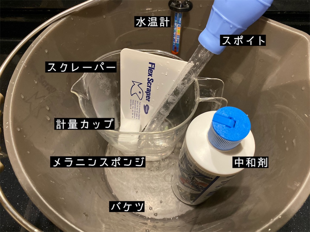 金魚とめだか 季々 金魚とめだか 季々
