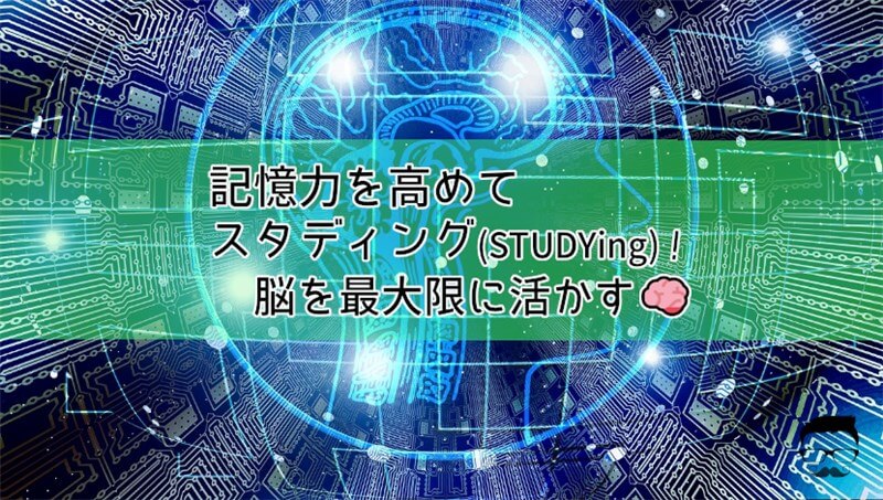 記憶力を高めてスタディング(STUDYing)！脳を最大限に活かす