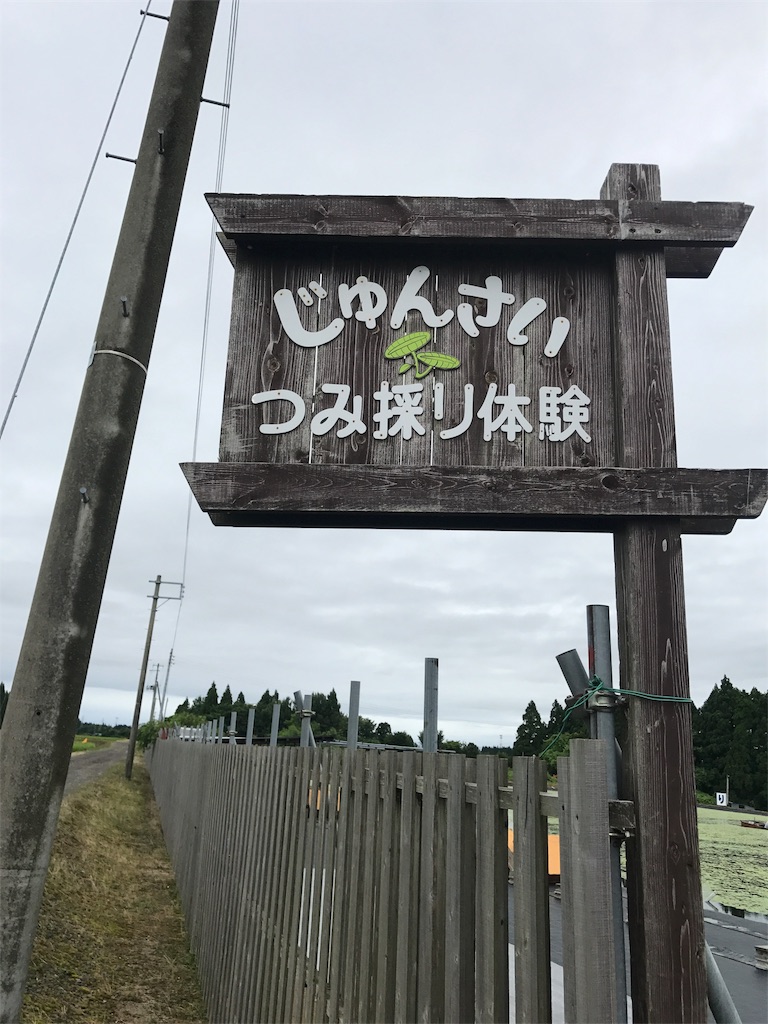 f:id:kinkedow:20170812205604j:image f:id:kinkedow:20170812205604j:image