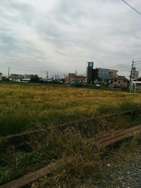 f:id:kinken19910116:20161021094733j:image