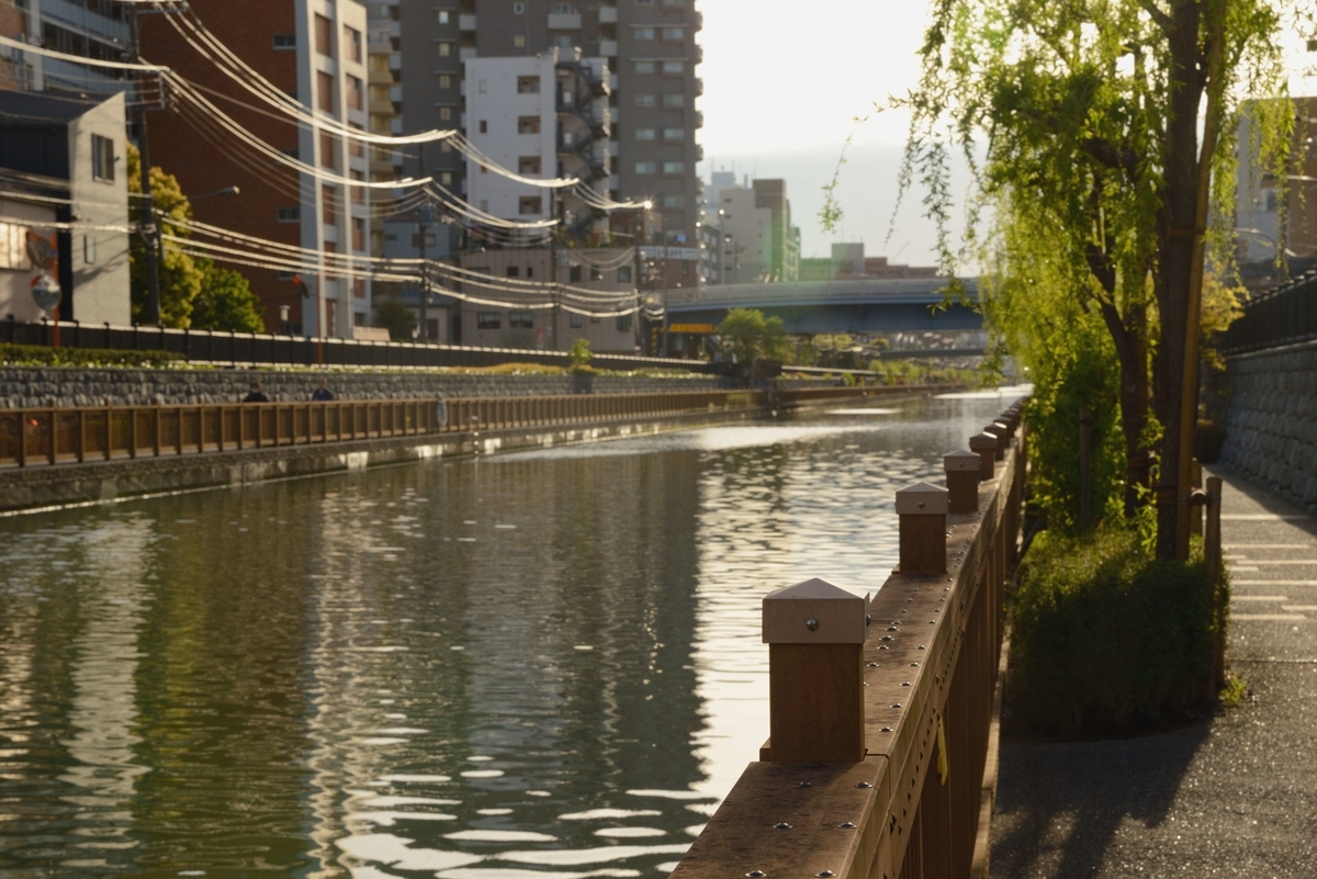 f:id:kinmokuseinotabi:20200430161053j:plain