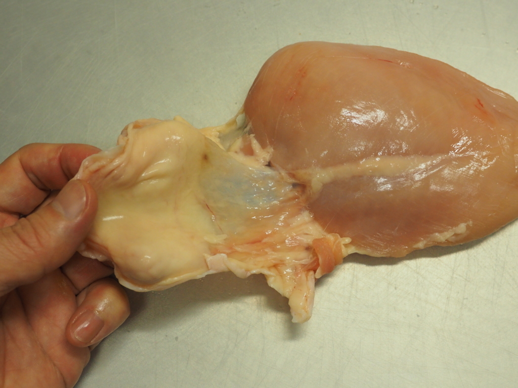 f:id:kinniku39:20180511161523j:plain