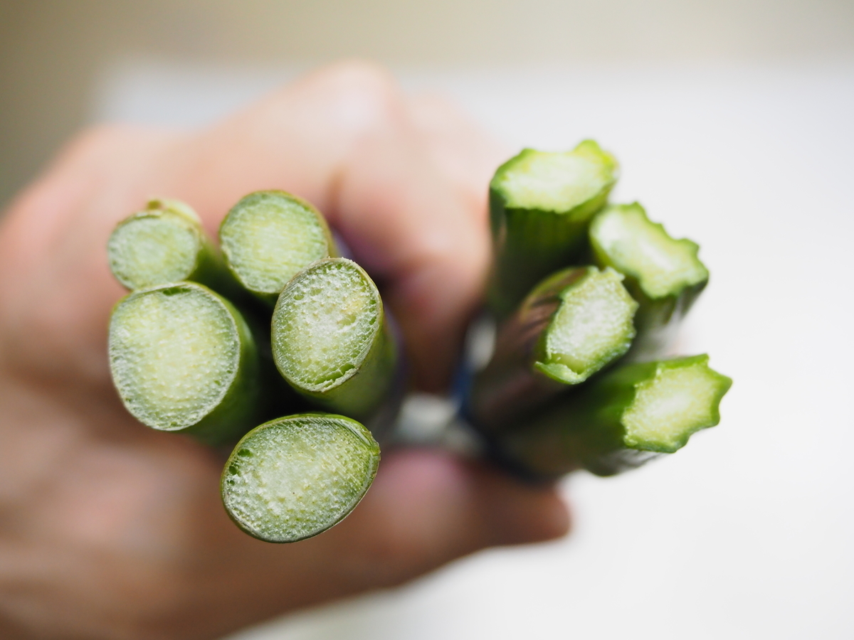 f:id:kinniku39:20190521123915j:plain f:id:kinniku39:20190521123915j:plain