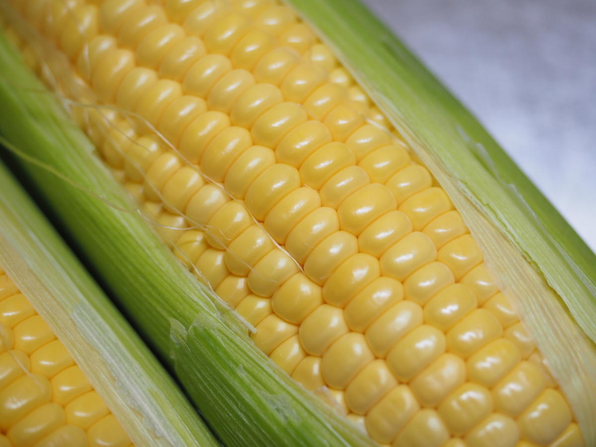 f:id:kinniku39:20190603182005j:plain