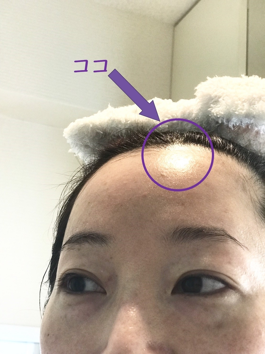 f:id:kinnomiz:20190809104607j:plain f:id:kinnomiz:20190809104607j:plain
