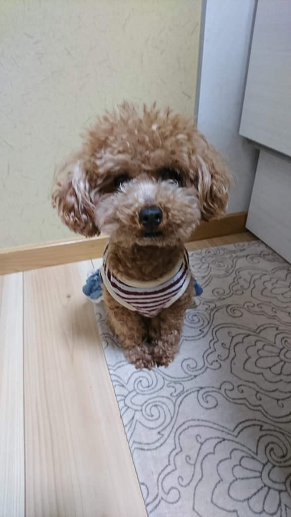 f:id:kinnomoai:20171229215229j:plain f:id:kinnomoai:20171229215229j:plain