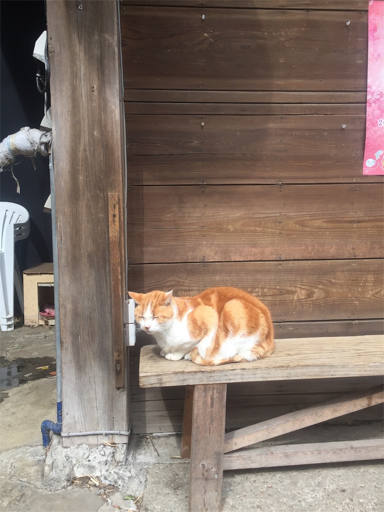 f:id:kinnosabakan:20170305210434j:image f:id:kinnosabakan:20170305210434j:image