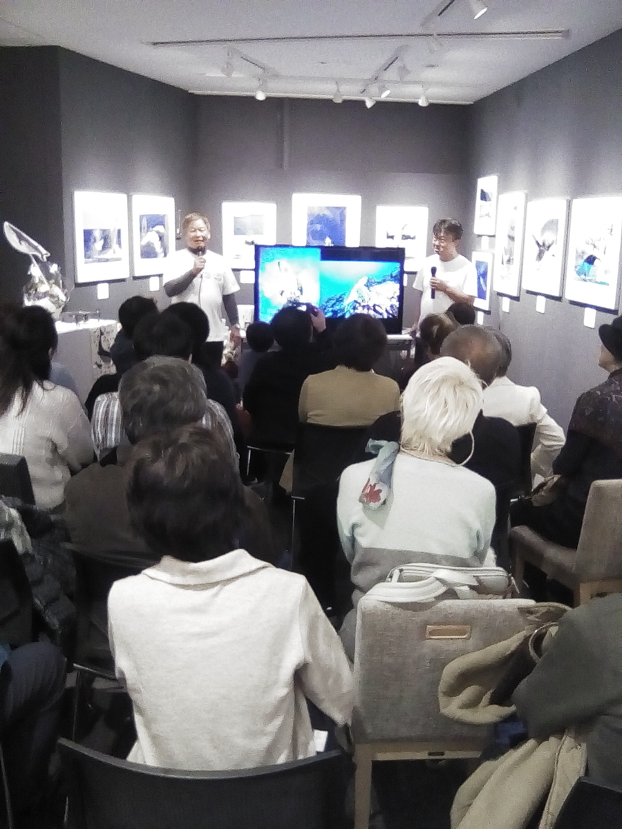 f:id:kinnpachi:20191208195244j:plain