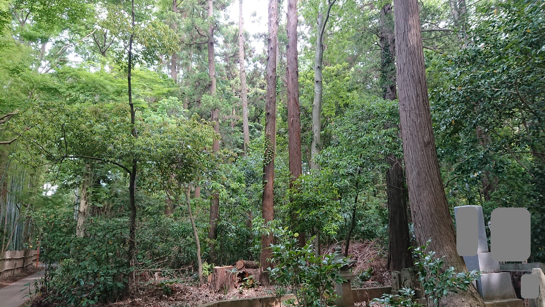 f:id:kinoboriyoshi:20190606204246j:plain f:id:kinoboriyoshi:20190606204246j:plain