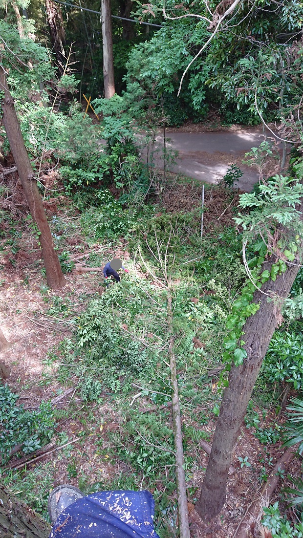 f:id:kinoboriyoshi:20190606204504j:plain f:id:kinoboriyoshi:20190606204504j:plain