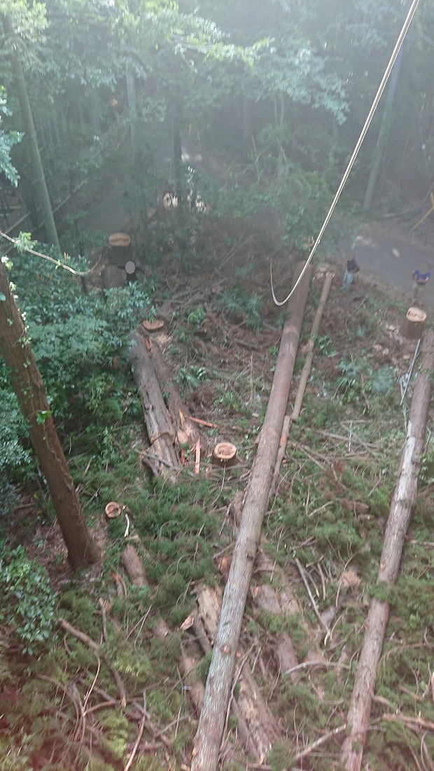 f:id:kinoboriyoshi:20190606205341j:plain f:id:kinoboriyoshi:20190606205341j:plain