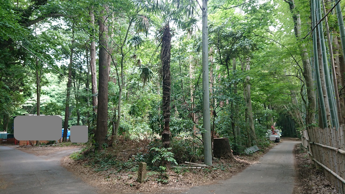 f:id:kinoboriyoshi:20190606205838j:plain f:id:kinoboriyoshi:20190606205838j:plain
