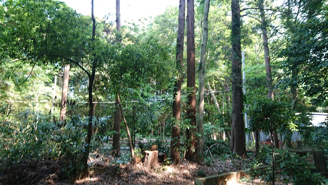 f:id:kinoboriyoshi:20190606211609j:plain f:id:kinoboriyoshi:20190606211609j:plain