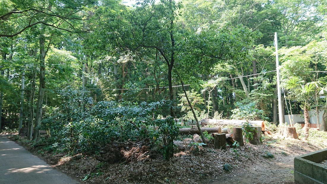 f:id:kinoboriyoshi:20190606212732j:plain f:id:kinoboriyoshi:20190606212732j:plain