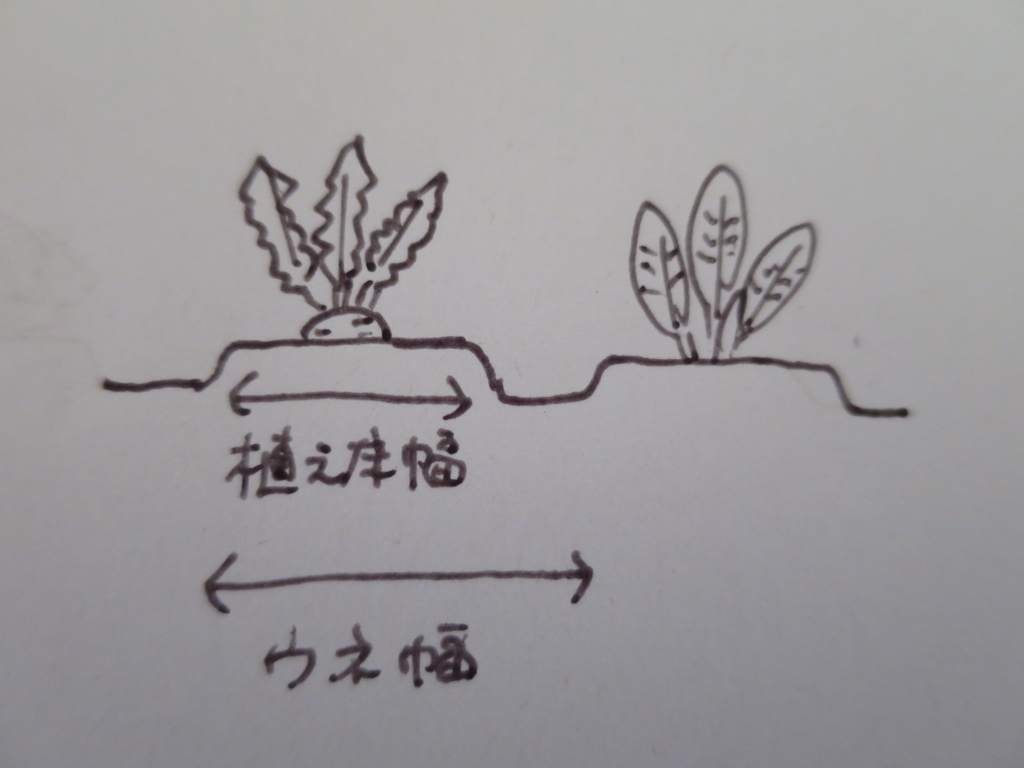 畝づくり - 木の家と