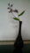 茶花　ホトトギス、どうだんつつじ