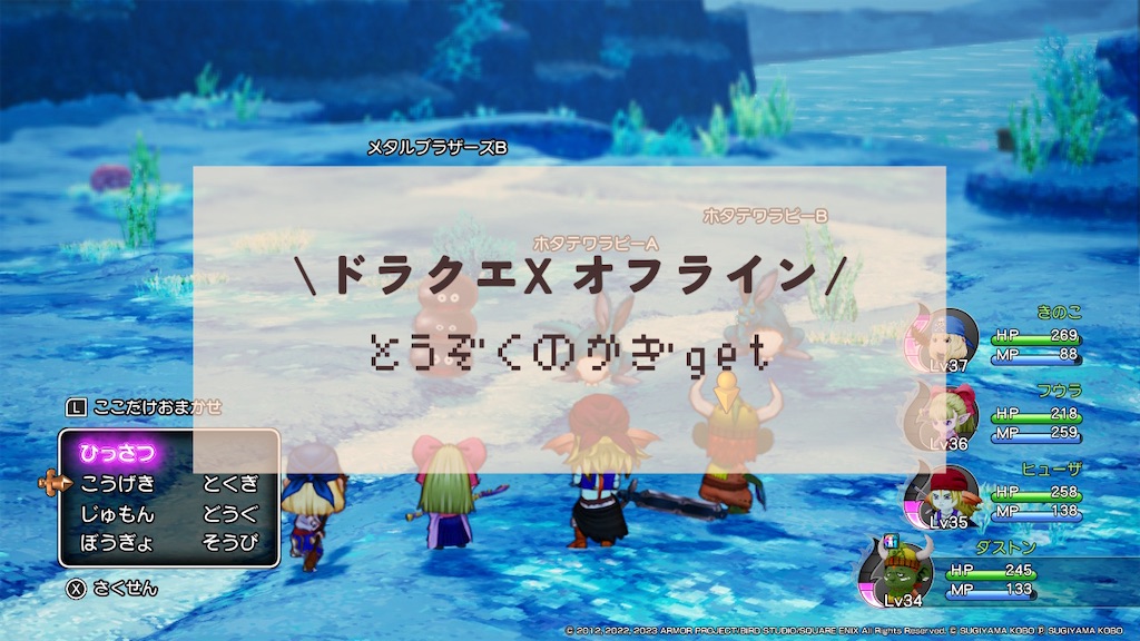 f:id:kinoko117kinoko:20240505175802j:image