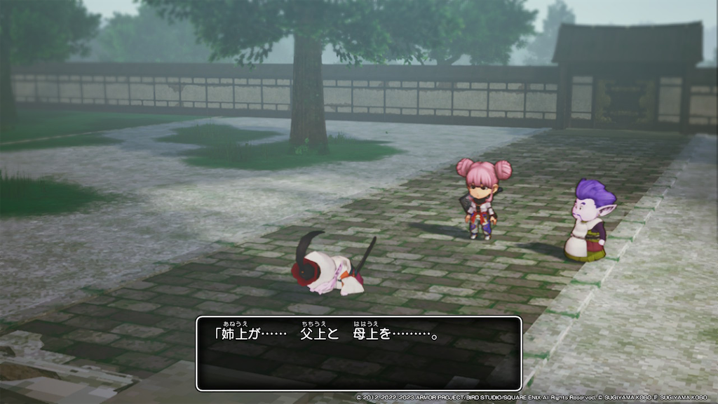 f:id:kinoko117kinoko:20240512094626p:image