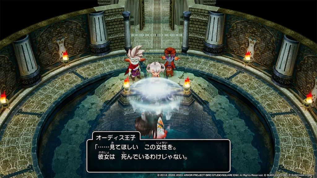f:id:kinoko117kinoko:20240519172542j:image