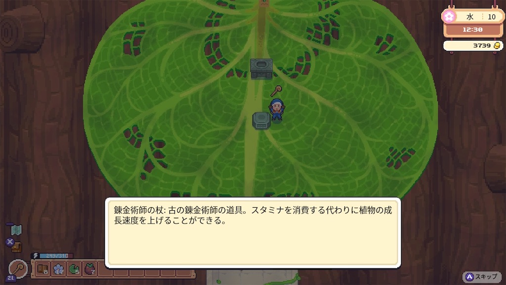 f:id:kinoko117kinoko:20240628191036j:image