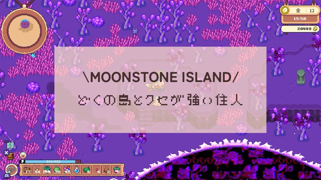 f:id:kinoko117kinoko:20240702155421j:image