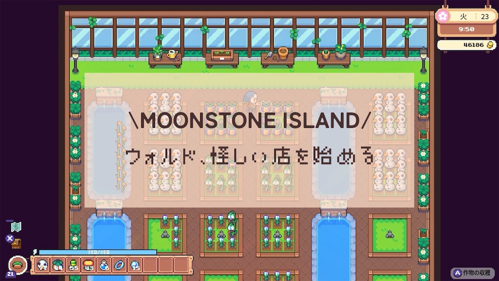 f:id:kinoko117kinoko:20240710135051j:image