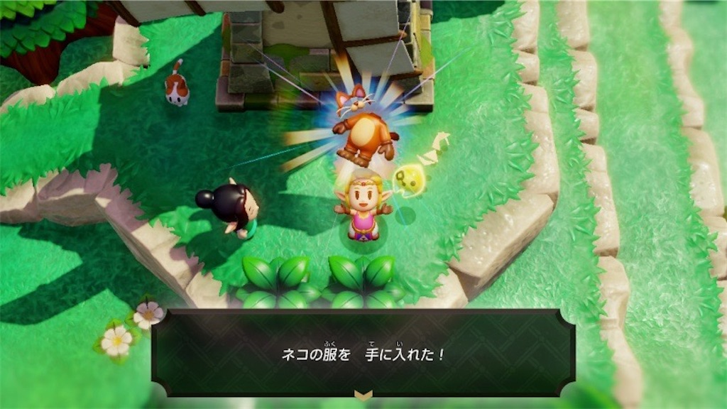 f:id:kinoko117kinoko:20241008103455j:image