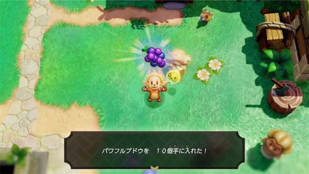 f:id:kinoko117kinoko:20241008103609j:image