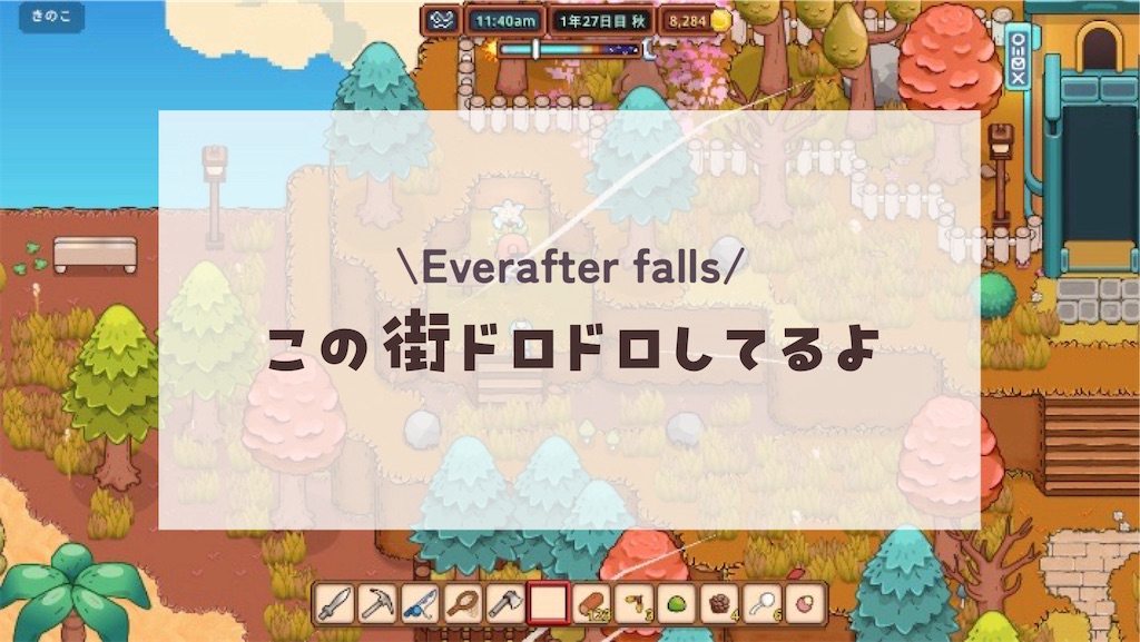 f:id:kinoko117kinoko:20241025114644j:image