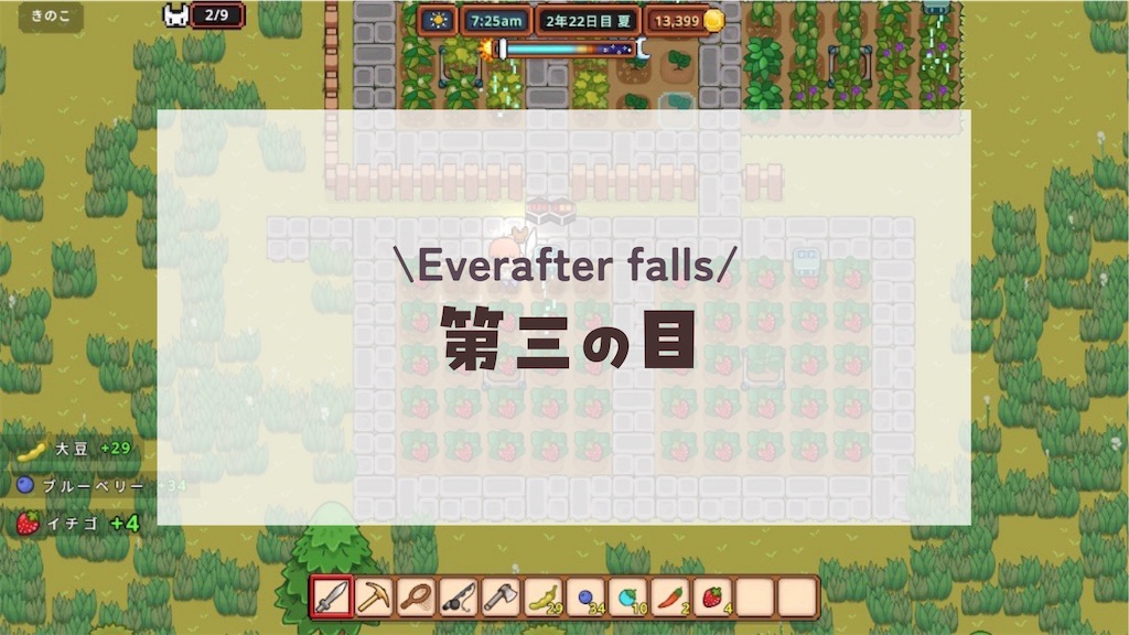 f:id:kinoko117kinoko:20241030095250j:image