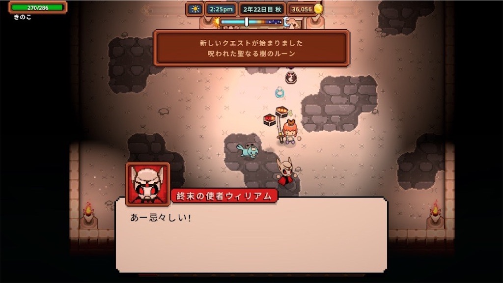 f:id:kinoko117kinoko:20241109150323j:image