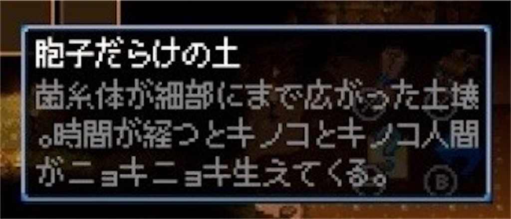 f:id:kinoko117kinoko:20250109123856j:image