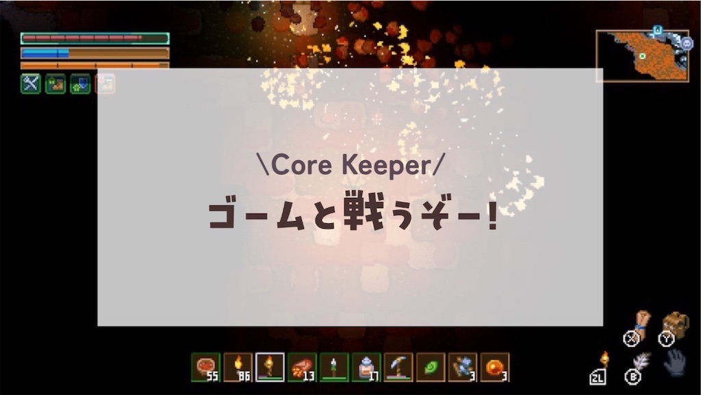f:id:kinoko117kinoko:20250121131107j:image