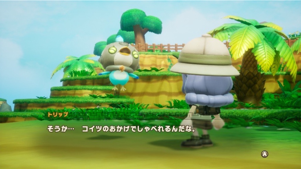 f:id:kinoko117kinoko:20250523112339j:image