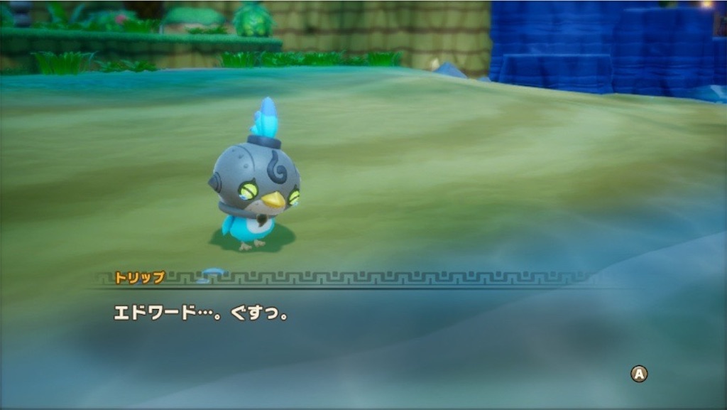 f:id:kinoko117kinoko:20250527104349j:image